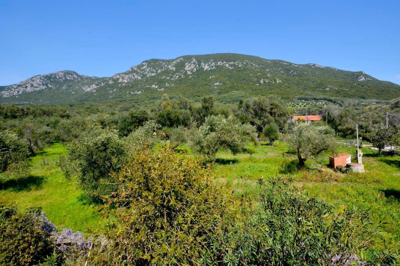 Giokos Apartment Agios Matthaios  Exterior photo